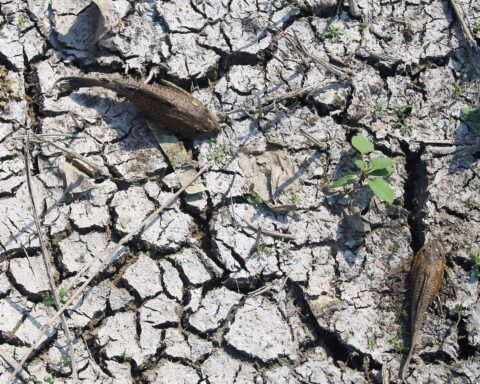 L'OMM met en garde contre la diminution des réserves d'eau douce sur Terre