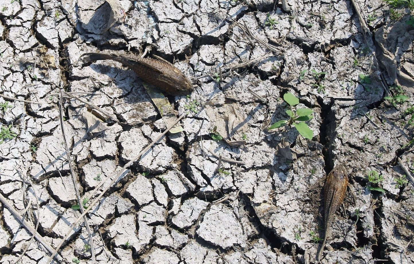 L'OMM met en garde contre la diminution des réserves d'eau douce sur Terre