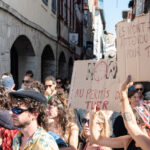 Manifestations en France contre la loi sur l'usage présumé des armes par la police