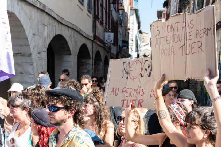 Manifestations en France contre la loi sur l'usage présumé des armes par la police