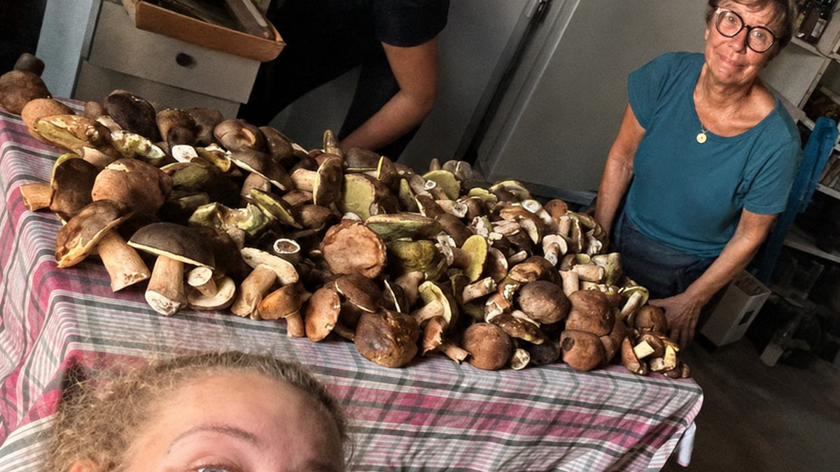 Martine et ses petites-filles récoltent des cèpes lors d'une cueillette en forêt.