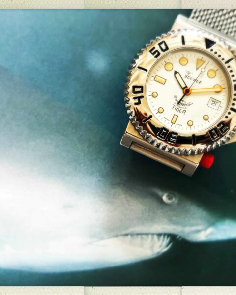 Squale Tiger : l'héritage des profondeurs et la réalité du temps