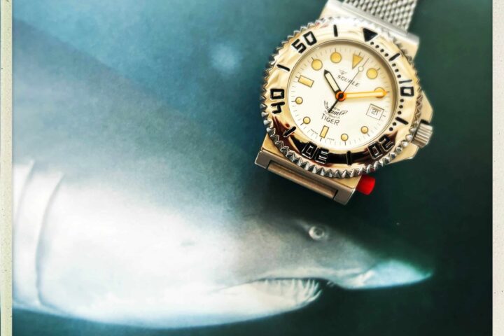 Squale Tiger : l'héritage des profondeurs et la réalité du temps