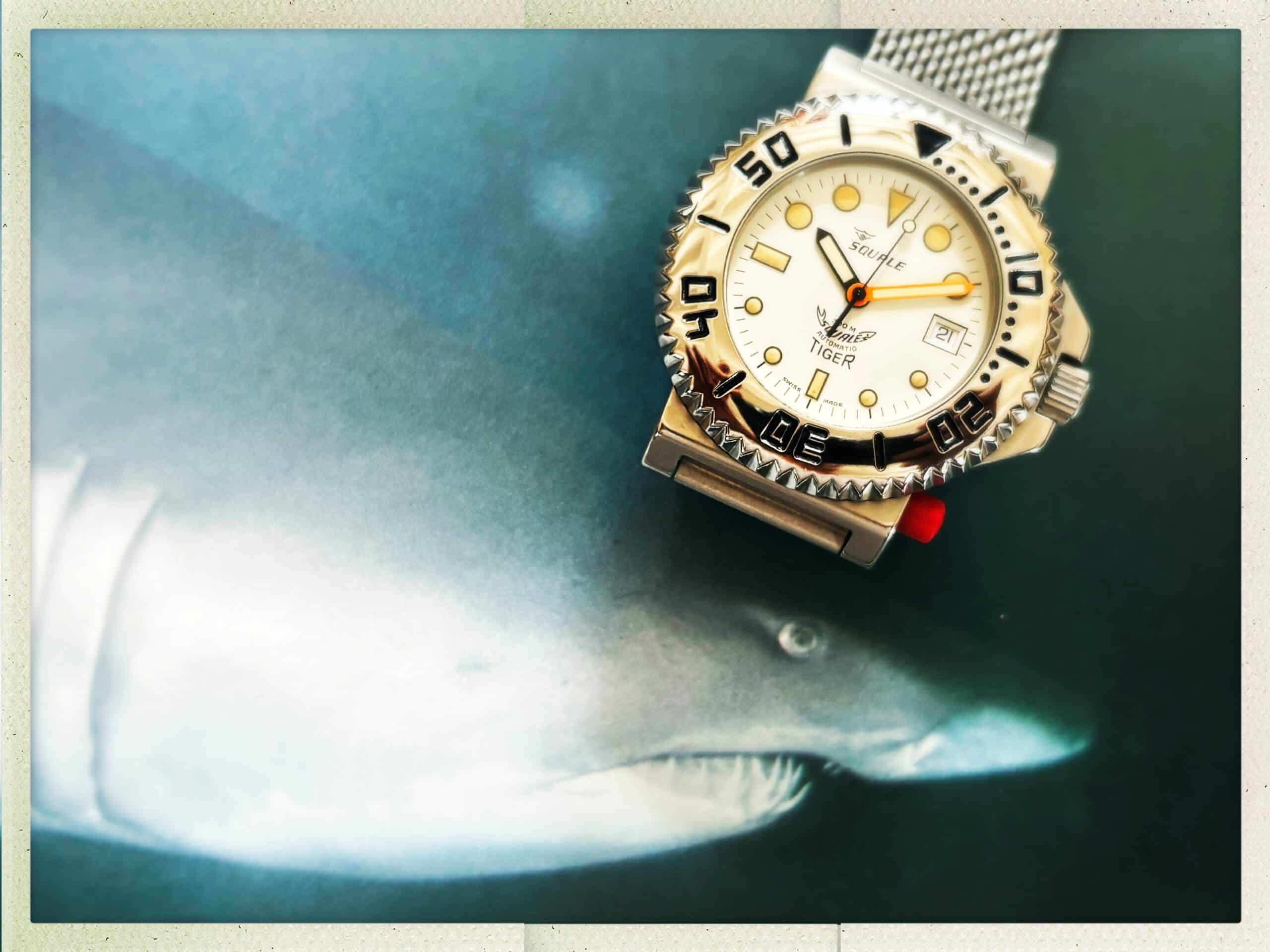 Squale Tiger : l'héritage des profondeurs et la réalité du temps