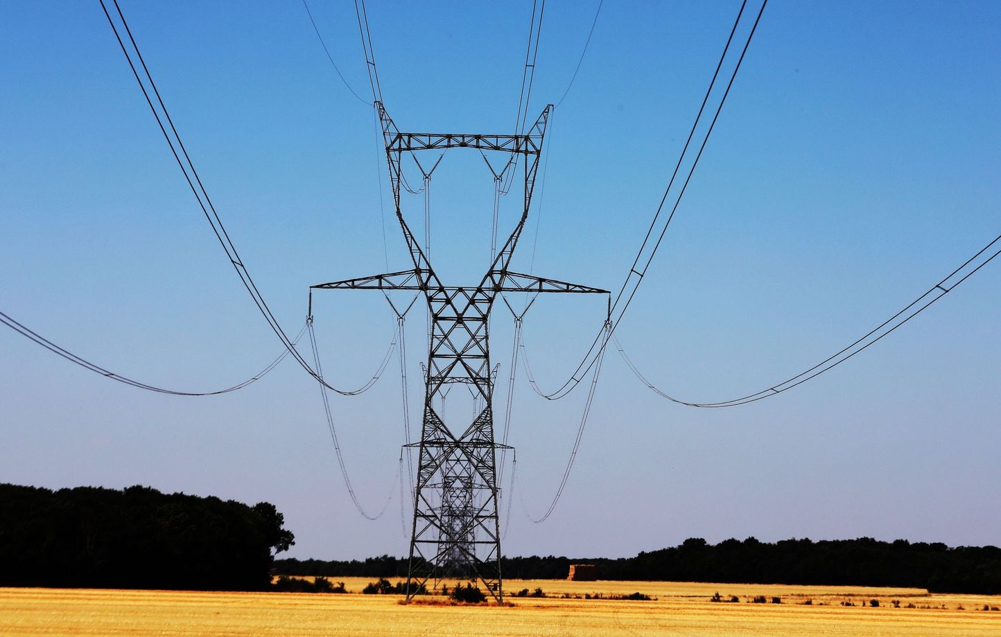 Un front inédit se forme à Arles contre le projet de ligne à très haute tension menacant la Camargue