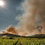 Un incendie dans un parc photovoltaïque a déjà ravagé 100 hectares dans les Landes