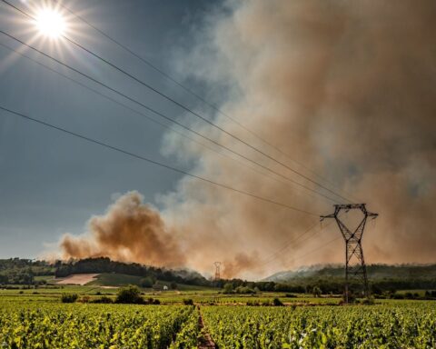 Un incendie dans un parc photovoltaïque a déjà ravagé 100 hectares dans les Landes