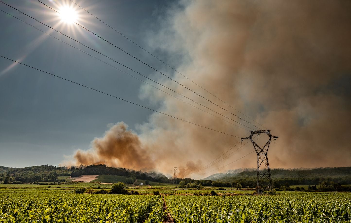 Un incendie dans un parc photovoltaïque a déjà ravagé 100 hectares dans les Landes
