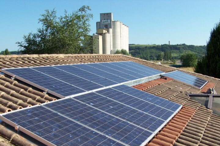 Un propriétaire de Nuremberg réclame l'abattage d'arbres centenaires pour rendre ses panneaux solaires rentables