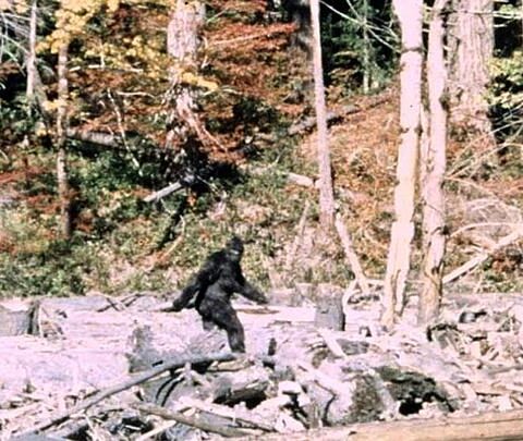 Une nouvelle vidéo relance le débat sur l'existence de Bigfoot dans un documentaire à venir