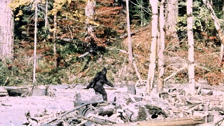 Une nouvelle vidéo relance le débat sur l'existence de Bigfoot dans un documentaire à venir