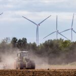 Vague de chaleur : des récoltes historiques de maïs, betteraves et pommes de terre en baisse en France