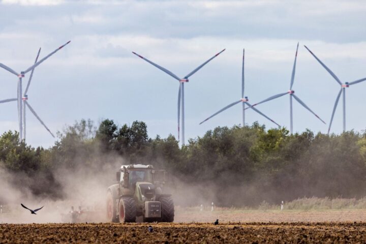 Vague de chaleur : des récoltes historiques de maïs, betteraves et pommes de terre en baisse en France