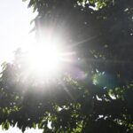 Chaleur inattendue : près de 30 °C attendus dans le sud de la France cette semaine