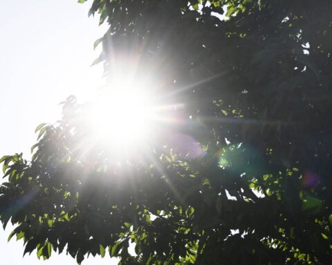 Chaleur inattendue : près de 30 °C attendus dans le sud de la France cette semaine