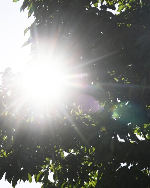 Chaleur inattendue : près de 30 °C attendus dans le sud de la France cette semaine
