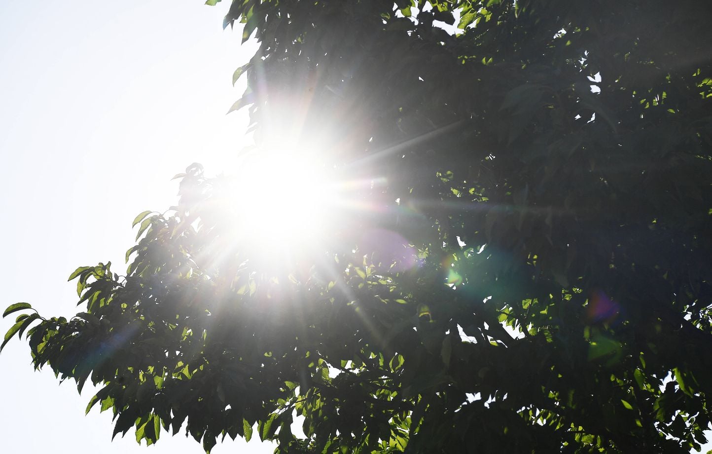 Chaleur inattendue : près de 30 °C attendus dans le sud de la France cette semaine 1 Chaleur inattendue : près de 30 °C attendus dans le sud de la France cette semaine