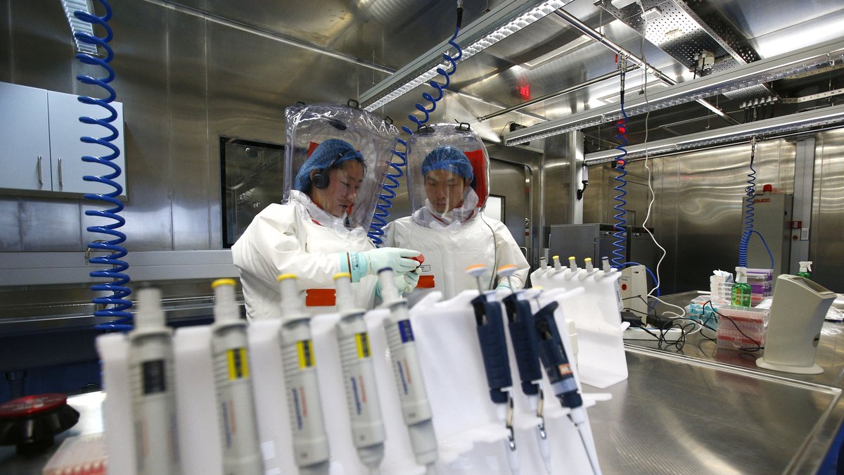 Covid-19 : enquête toujours ouverte sur une éventuelle fuite du laboratoire P4 à Wuhan 1 Covid-19 : enquête toujours ouverte sur une éventuelle fuite du laboratoire P4 à Wuhan