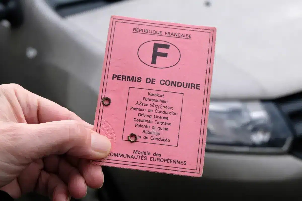 « De nombreux conducteurs devront remplacer leur permis rose avant la date limite, croyant à tort qu'il était valable à vie »