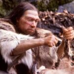 Découverte de restes néandertaliens vieux de 46 000 ans dans une grotte en Espagne