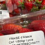 Des fraises alsaciennes récoltées en octobre en raison du réchauffement climatique