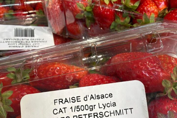 Des fraises alsaciennes récoltées en octobre en raison du réchauffement climatique