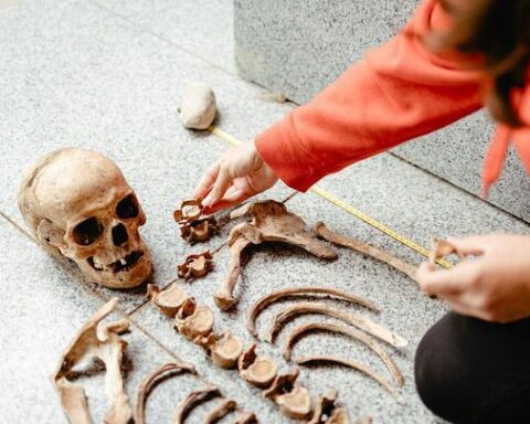 En Slovaquie, un fragment de poignard découvert dans un squelette fournit des indices sur un meurtre vieux de cinq siècles
