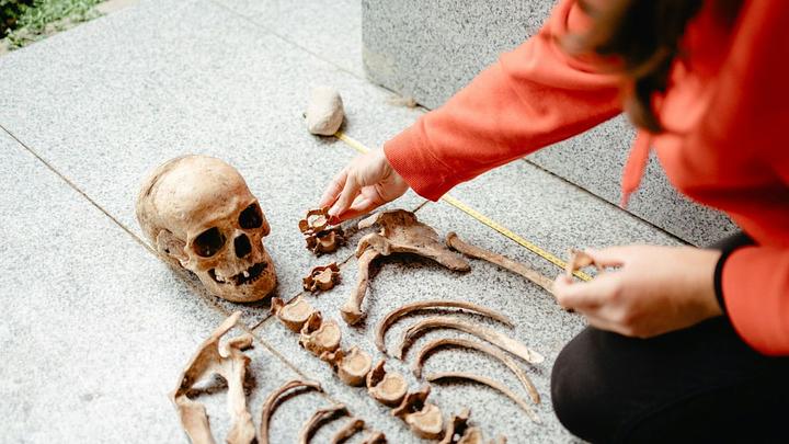 En Slovaquie, un fragment de poignard découvert dans un squelette fournit des indices sur un meurtre vieux de cinq siècles 1 En Slovaquie, un fragment de poignard découvert dans un squelette fournit des indices sur un meurtre vieux de cinq siècles