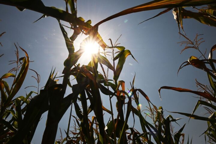 Gers : 646 contrôles effectués pour garantir le respect des restrictions d'eau, 19 procédures initiées