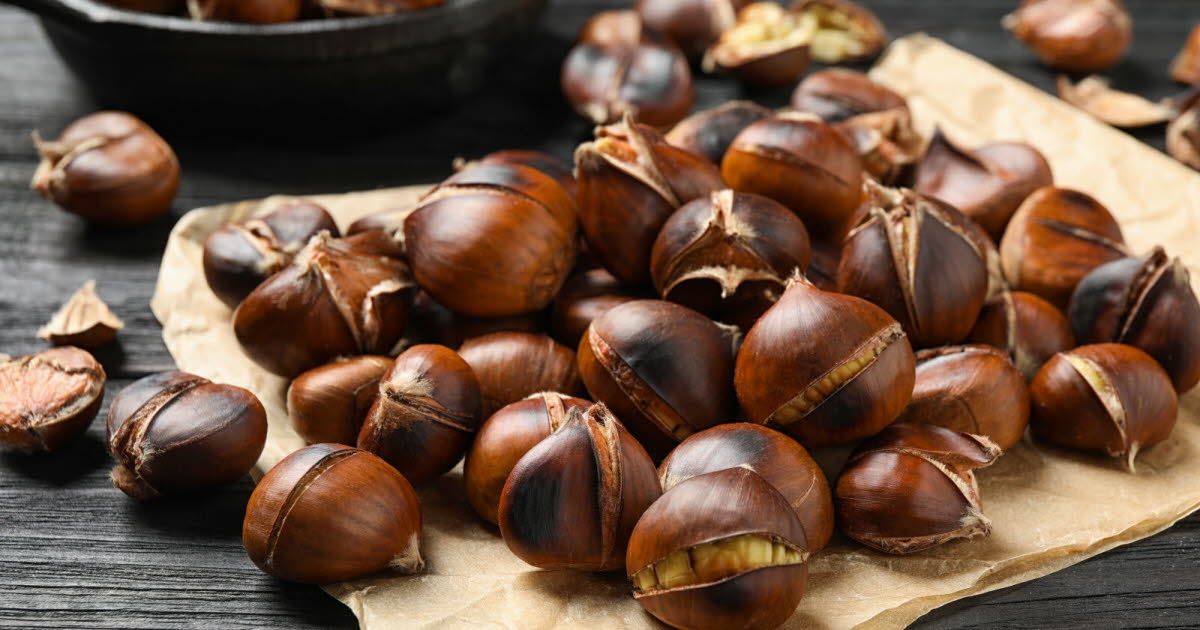 La châtaigne : un fruit à coque riche en glucides et essentiel dans l'alimentation rurale française 1 La châtaigne : un fruit à coque riche en glucides et essentiel dans l'alimentation rurale française