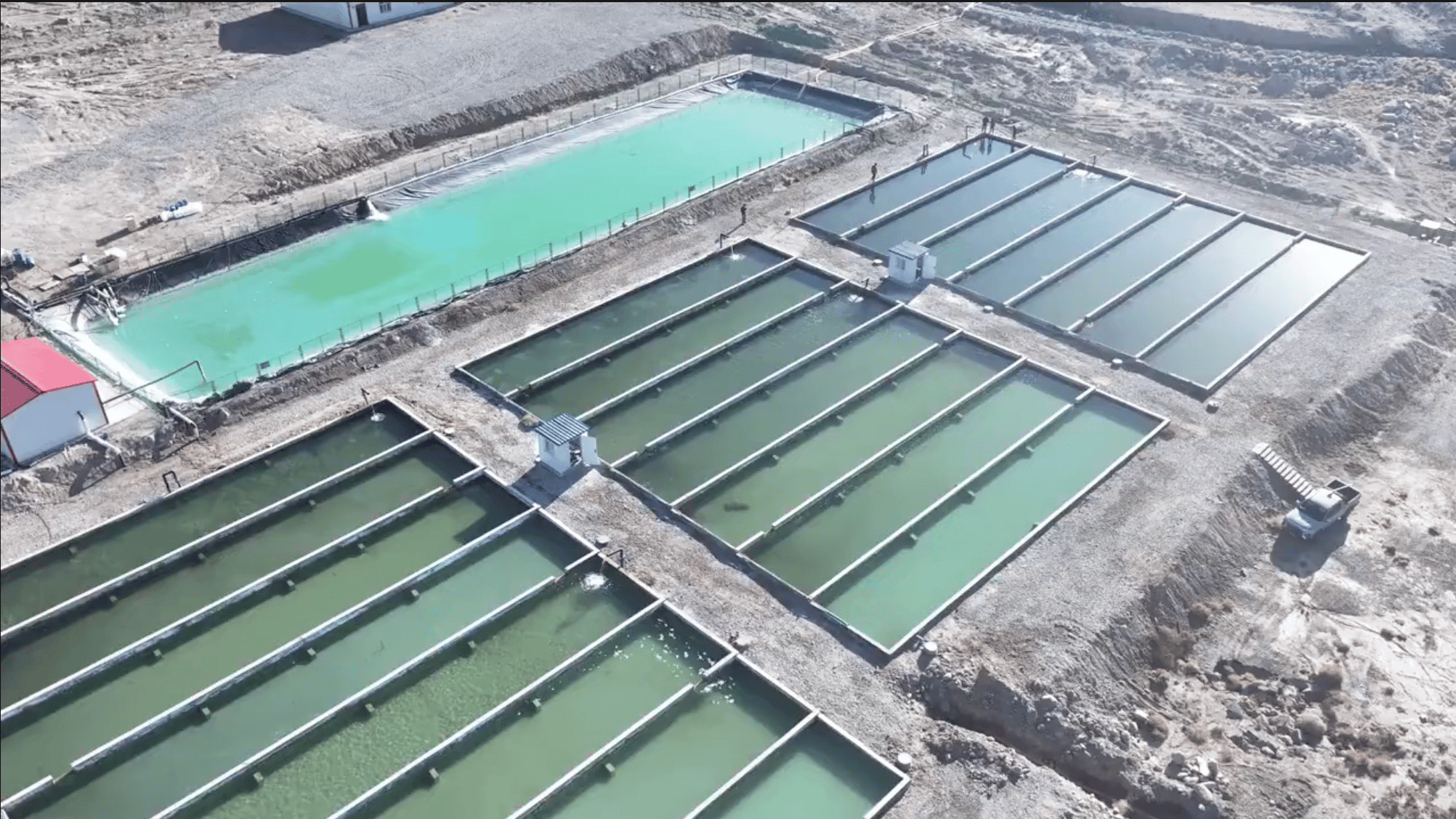 La Chine cherche à promouvoir les poissons d'élevage du Xinjiang sur le marché mondial