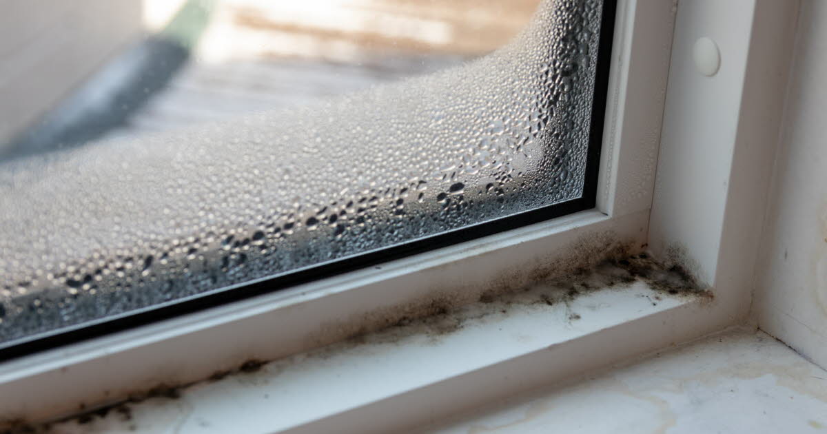La pollution de l'air intérieur menace la santé des foyers français, selon un rapport de l'OQEI 1 La pollution de l'air intérieur menace la santé des foyers français, selon un rapport de l'OQEI