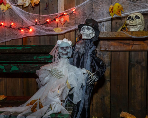 La quête de sensations fortes à Halloween : comprendre l'attrait pour la peur selon une neuropsychologue