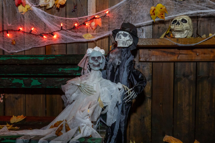 La quête de sensations fortes à Halloween : comprendre l'attrait pour la peur selon une neuropsychologue