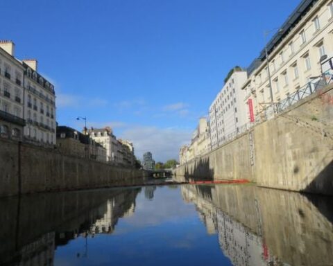 La végétalisation des places minérales : un défi complexe pour les municipalités françaises