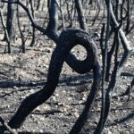 Le changement climatique causant 3 millions de morts entre 2016 et 2023 doit être déclaré urgence sanitaire mondiale selon un rapport