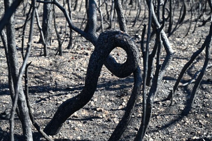 Le changement climatique causant 3 millions de morts entre 2016 et 2023 doit être déclaré urgence sanitaire mondiale selon un rapport