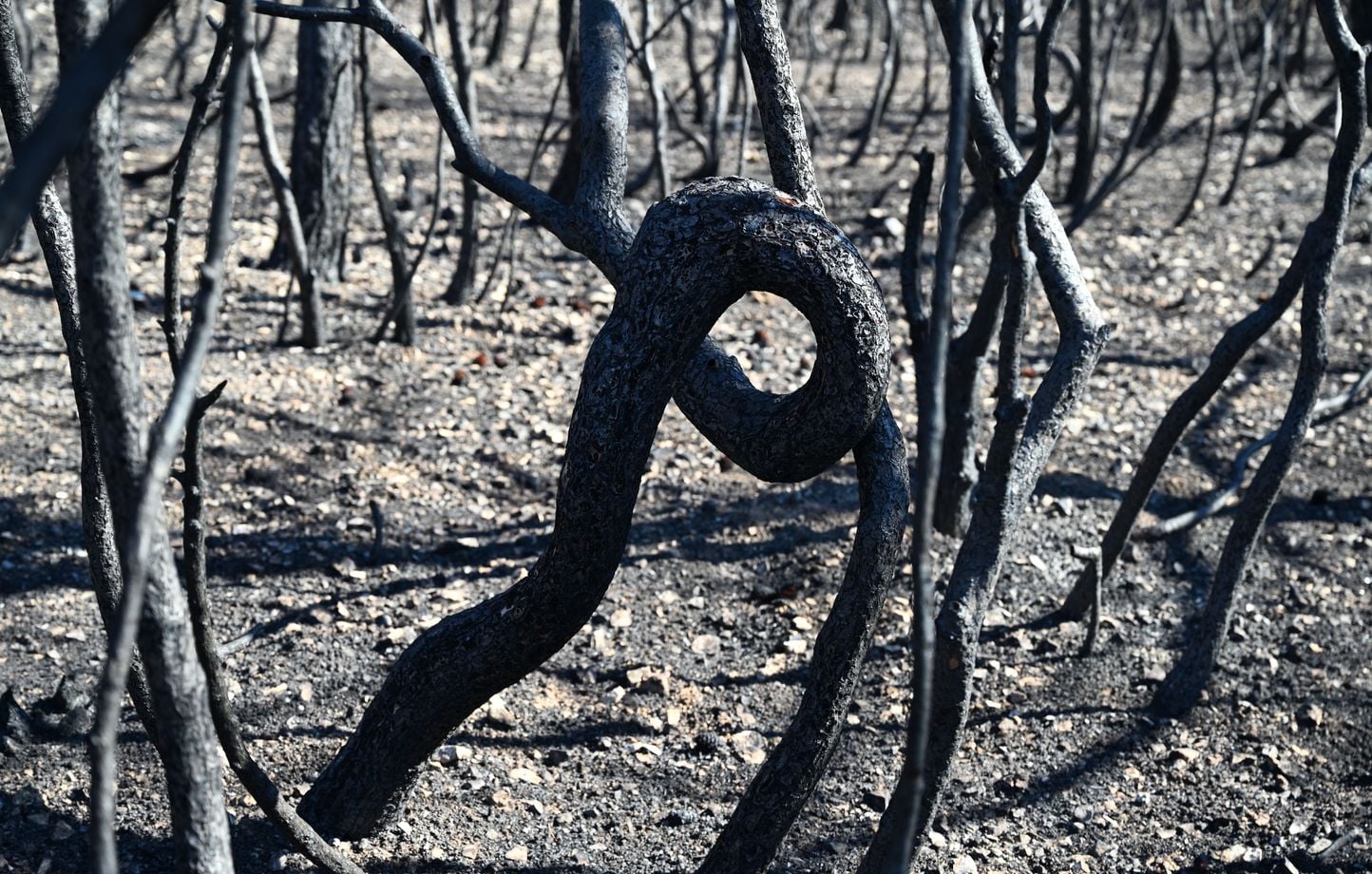 Le changement climatique causant 3 millions de morts entre 2016 et 2023 doit être déclaré urgence sanitaire mondiale selon un rapport 1 Le changement climatique causant 3 millions de morts entre 2016 et 2023 doit être déclaré urgence sanitaire mondiale selon un rapport