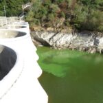 Lille : l'invasion des lentilles d'eau menace l'écosystème du canal de la Deûle