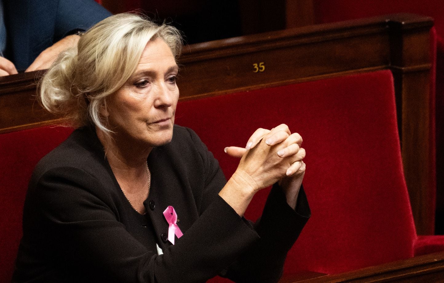 Marine Le Pen conteste des allégations du JDD sur la sécurité du congrès du RN à Orléans