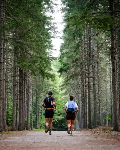 Meilleures pratiques pour courir sans se blesser : posez vos questions à un expert