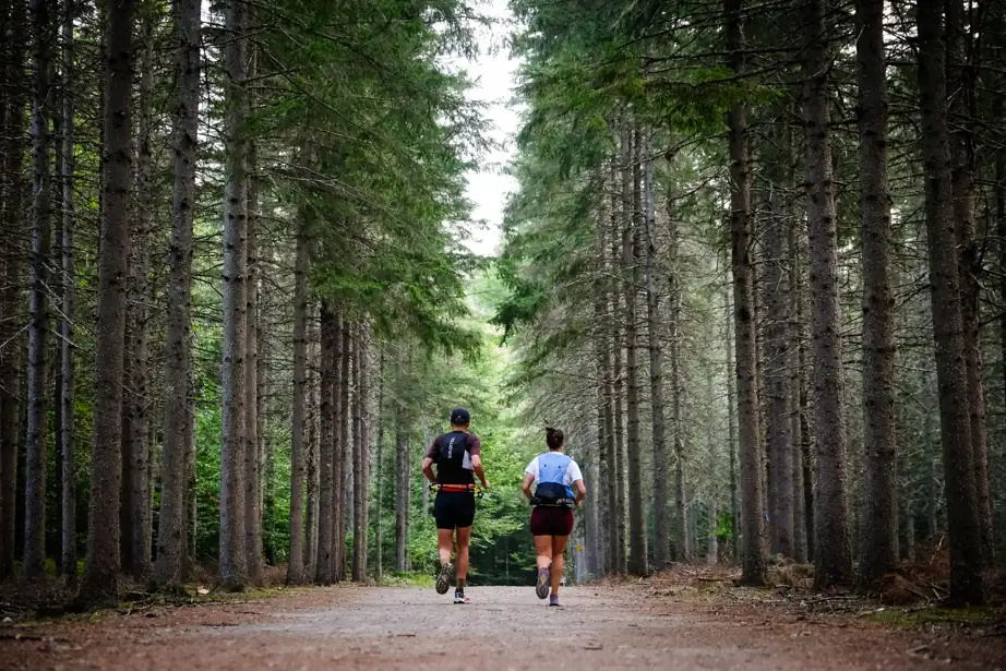 Meilleures pratiques pour courir sans se blesser : posez vos questions à un expert 1 Meilleures pratiques pour courir sans se blesser : posez vos questions à un expert