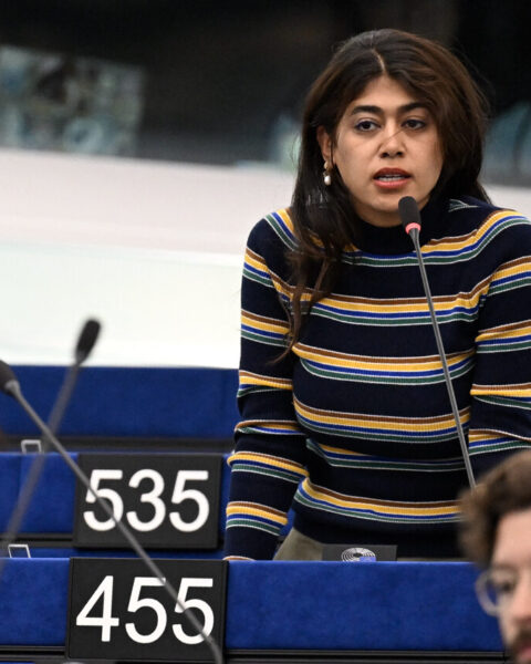 Rima Hassan accusée d'avoir renversé des drapeaux israélien et européen au Parlement européen
