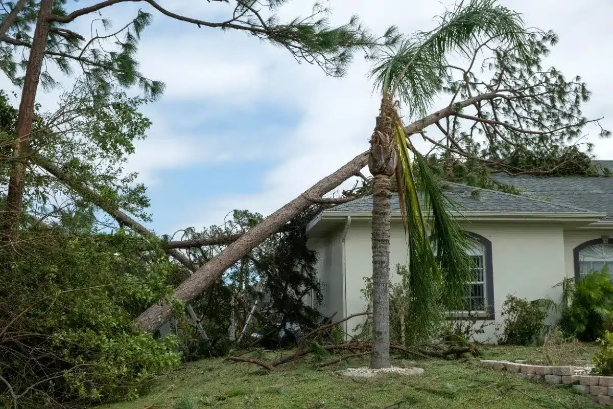 Un couple du Mississippi se voit refuser sa demande d'indemnisation habitation de 95 896 $ en raison de l'insuffisance des preuves d'expert.