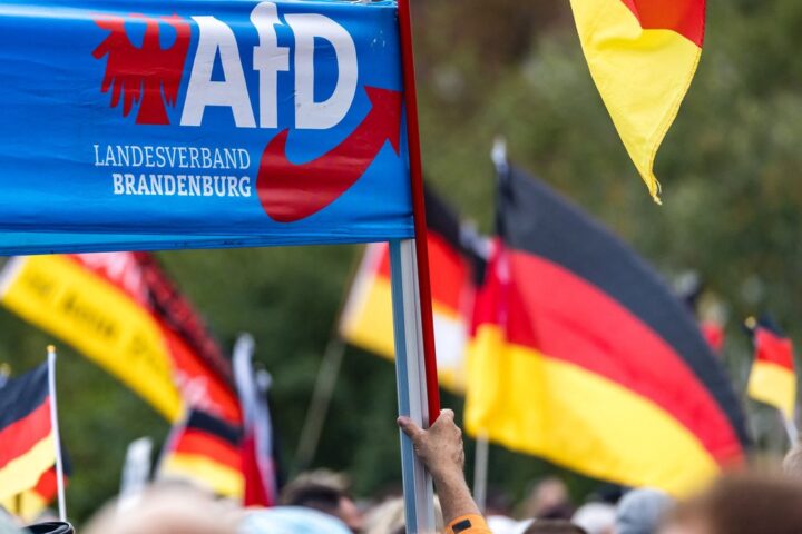 Un membre de l'AfD propose la création d'un "État unique" incluant l'Alsace et la Moselle