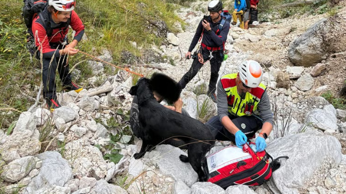 Un randonneur autrichien de 21 ans survit à une chute de 20 mètres grâce à son labrador