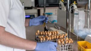 Une femme de 28 ans décède de la peste pulmonaire en Sibérie, 200 personnes en quarantaine