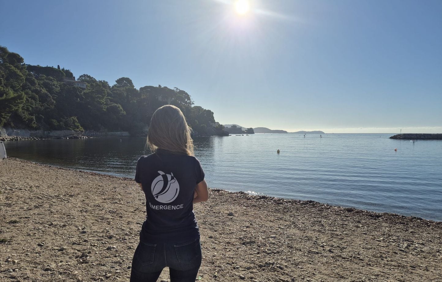 Une tortue caouanne pond ses œufs pour la première fois à Toulon 1 Une tortue caouanne pond ses œufs pour la première fois à Toulon